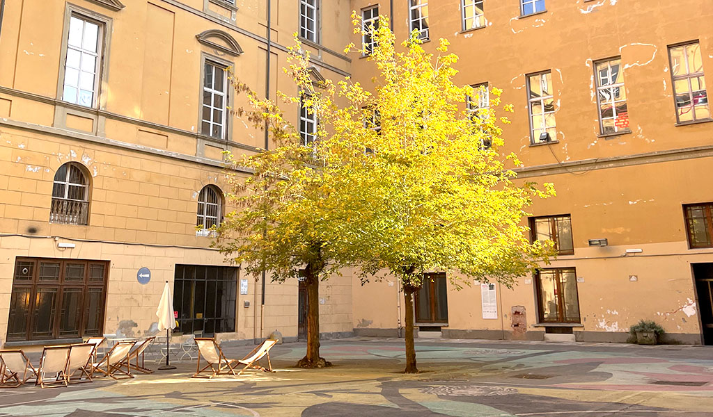 La Cavallerizza Reale di Torino